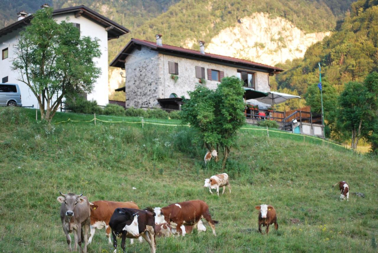 Rifugio Malga Grasia Caprizi Exterior photo